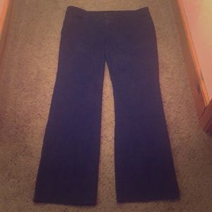 Alloy Apparel Plus Size Dress Jeans